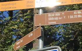 Studio-Appartment Horgen
